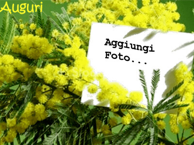 foto-con-mimose