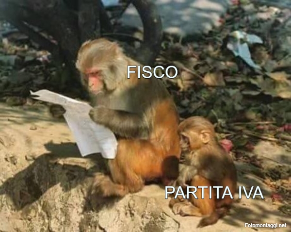 FISCO PARTITA IVA